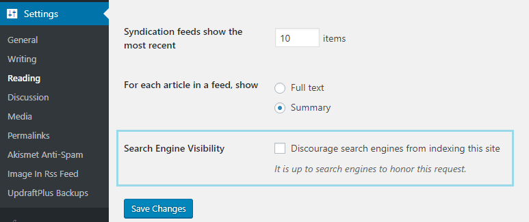 search engine visibility screen